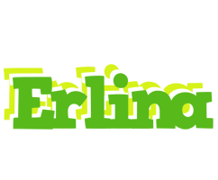 Erlina picnic logo