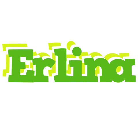 Erlina picnic logo