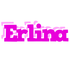 Erlina rumba logo