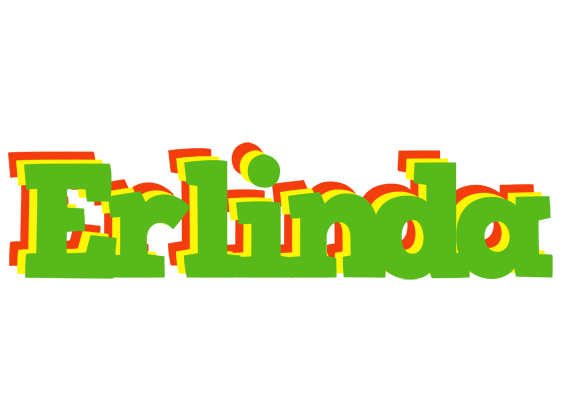Erlinda crocodile logo