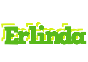 Erlinda picnic logo