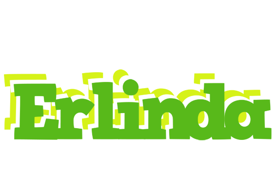 Erlinda picnic logo