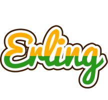 Erling banana logo