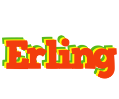 Erling bbq logo