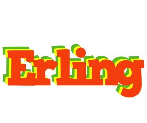 Erling bbq logo