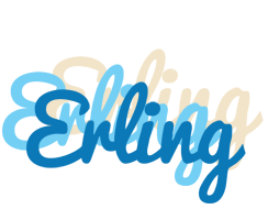 Erling breeze logo