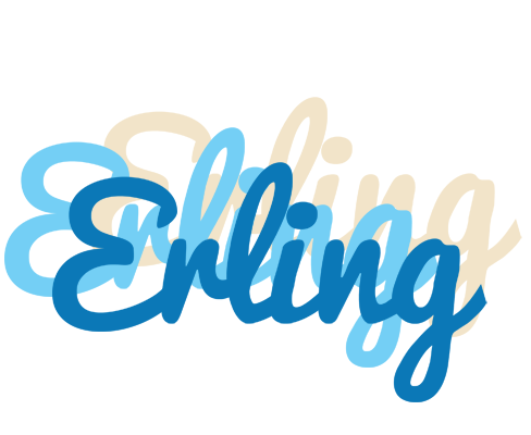 Erling breeze logo