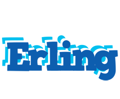 Erling business logo
