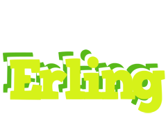 Erling citrus logo