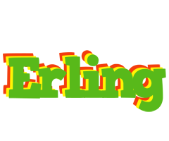 Erling crocodile logo