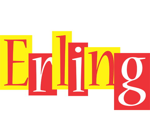 Erling errors logo