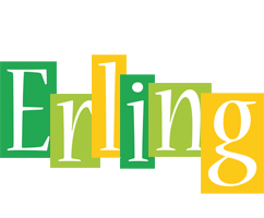 Erling lemonade logo