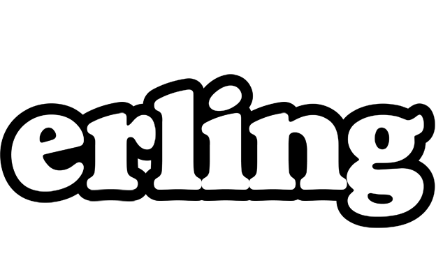 Erling panda logo