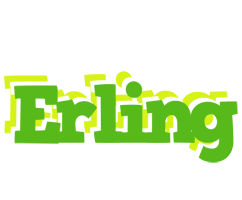 Erling picnic logo