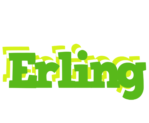 Erling picnic logo