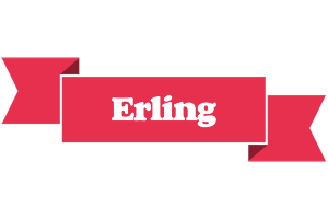 Erling sale logo