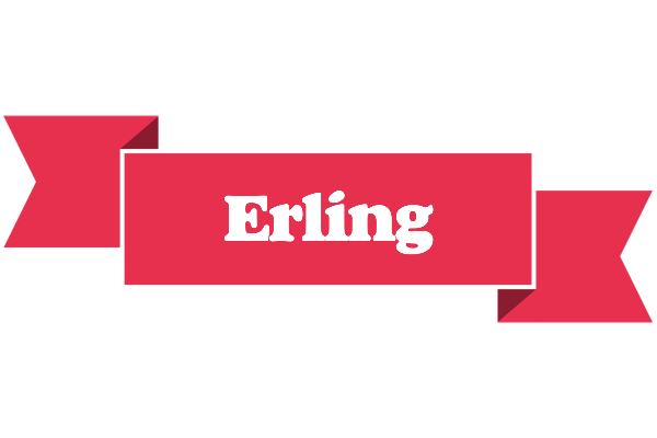 Erling sale logo