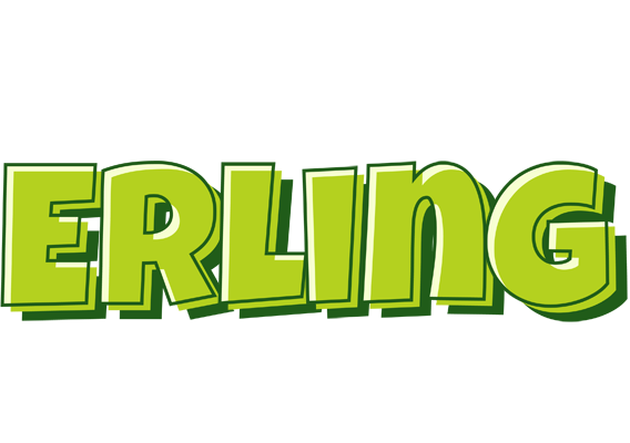 Erling summer logo
