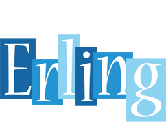Erling winter logo