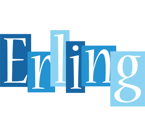 Erling winter logo