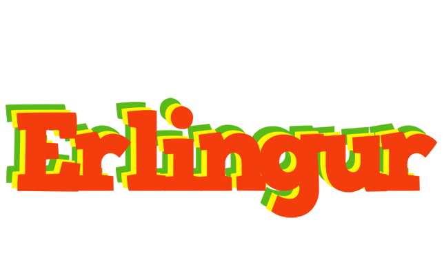 Erlingur bbq logo