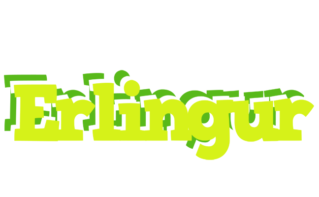 Erlingur citrus logo