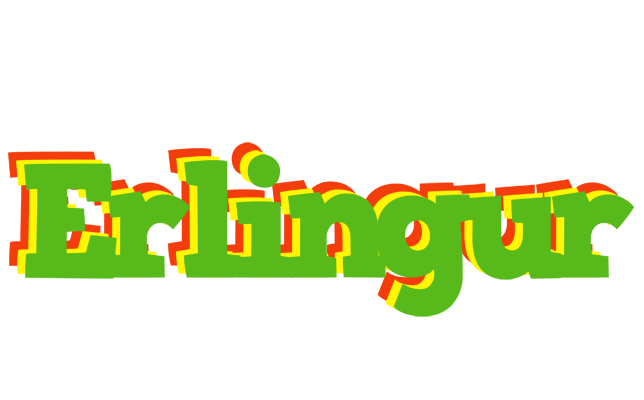 Erlingur crocodile logo