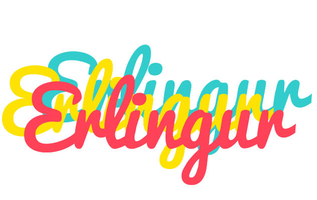 Erlingur disco logo