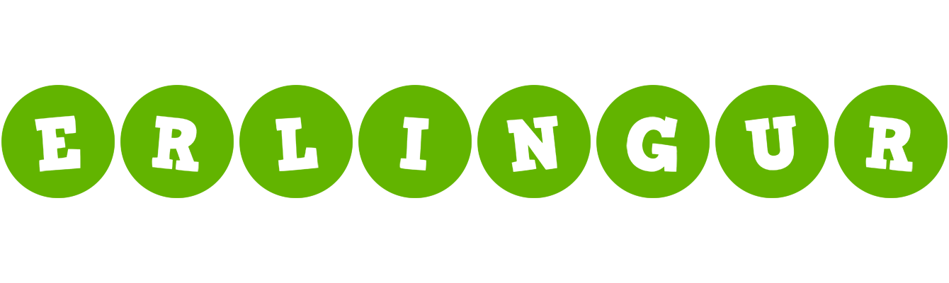 Erlingur games logo