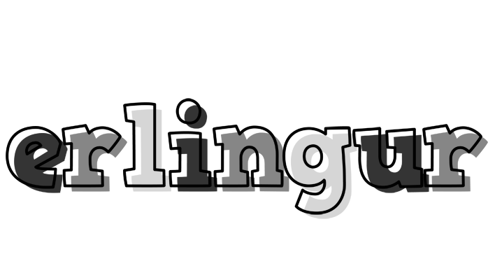 Erlingur night logo