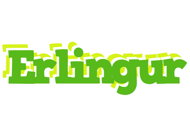 Erlingur picnic logo