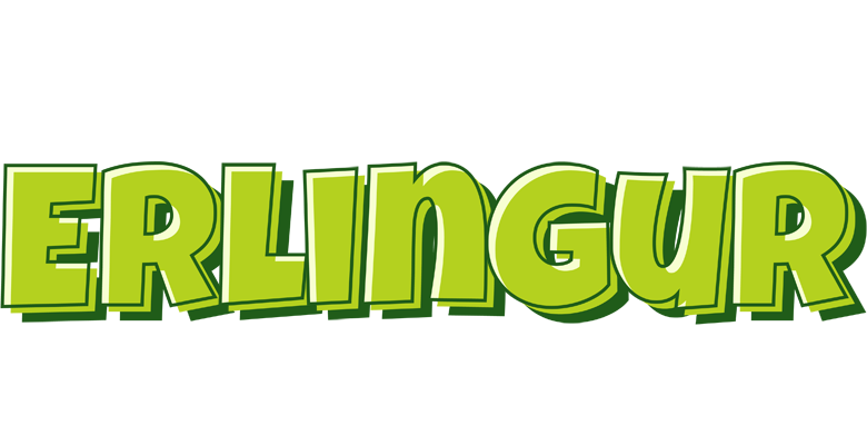 Erlingur summer logo