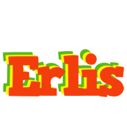 Erlis bbq logo