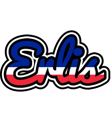 Erlis france logo