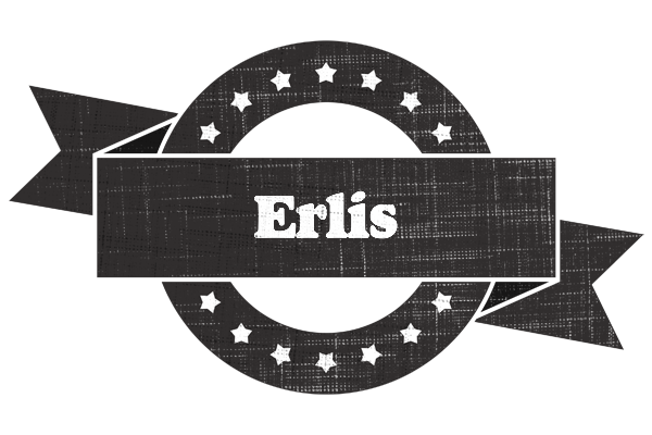 Erlis grunge logo