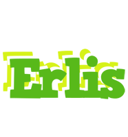 Erlis picnic logo