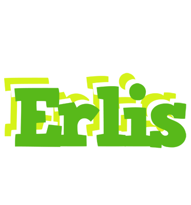 Erlis picnic logo