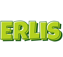 Erlis summer logo