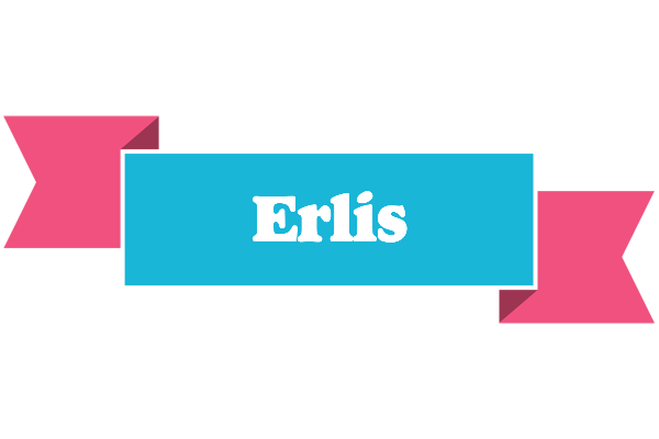 Erlis today logo