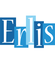 Erlis winter logo