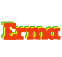 Erma bbq logo