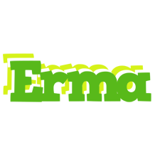 Erma picnic logo