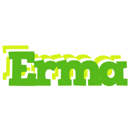 Erma picnic logo