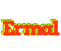 Ermal bbq logo