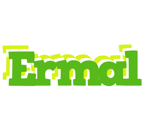 Ermal picnic logo