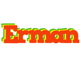 Erman bbq logo