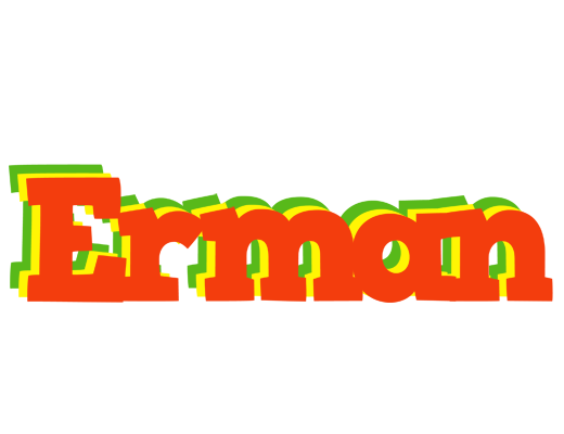 Erman bbq logo