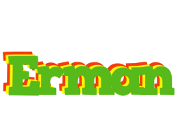 Erman crocodile logo