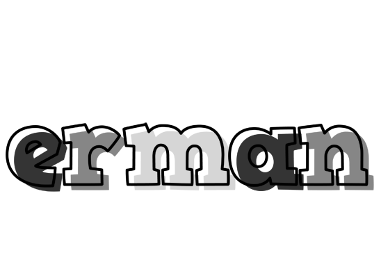 Erman night logo