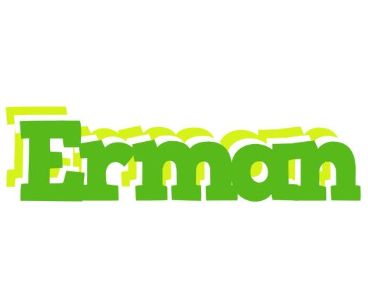 Erman picnic logo